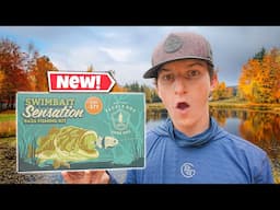 Fishing The NEW Swimbait Sensation Box - What's Inside?