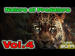 The Nature of Predators Vol.4 | HFY | Science fiction Audiobook