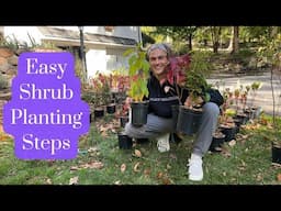 Follow this Guide to Plant Shrubs the Right Way - Tutorial for Beginner Gardeners