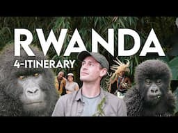 4-Day Itinerary: Rwanda Safari (Plan Your Trip↓)