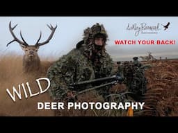 A Barren Landscape Photographing Red Deer