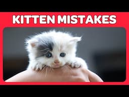 14 Common Kitten Mistakes You Must Avoid