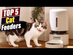 Best Automatic Cat Feeders for Busy Pet Owners: A Comprehensive Review