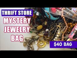 Opening a $40 THRIFTED MYSTERY Jewelry Bag! What's Inside?