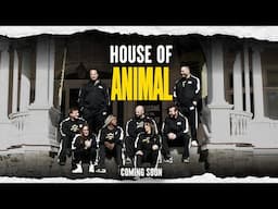 House of Animal | Coming Soon