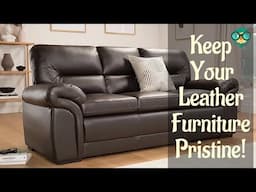 How to Care for Leather Furniture? How to clean my leather couch?