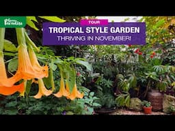 UK tropical garden AMAZINGLY thriving in November 🌴