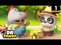 Bones, Stones, and Ancient Thrones | Dr. Panda the Archaeologist! | Learning Cartoons | 9 Story Kids