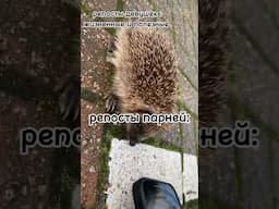 и так познавательно 🤣 #мем #мемы #прикол #meme #memes #viral