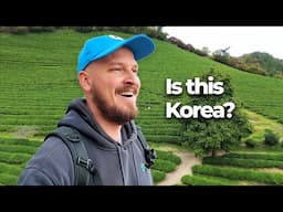 I Can't Believe This is Korea!