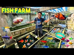 Very Cheap Rate😜❤️Fish Farm of Oscars, Angels, Shrimps, RedTail Shark, Goldfish, Swordtail and etc.