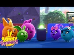 MUSIC FOR ALL - SUNNY BUNNIES | SEASON 6 MARATHON | WildBrain Zoo | Cartoons for Kids