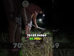 अंधेरे में अब हर काम आसान | Super Bright Head Torch light for farmers Emergencies !