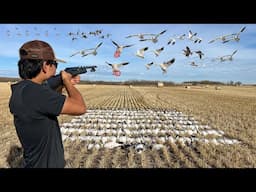 EPIC 218 Bird Goose and Duck Hunt! (2 BANDS)