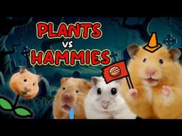 Plants vs Hammies