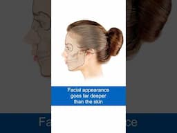 How Facial Appearance is Determined by Bone Structure #facialrejuvenation