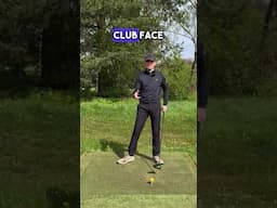 Bryson Dechambeau Key Driver Move