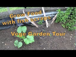 Grow your own food - introduction to our vegetable gardens and fruit trees