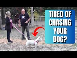 What To Do When Your Dog Runs Away and Doesn’t Come When Called.