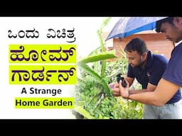 Greatest Home Garden Of India | Home Gardening Ideas | Organic Farming  in a City Home Tips Kannada