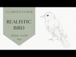 Bird Drawing Tutorial for beginners - Gardentober Drawing challenge