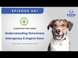 Understanding Veterinary Emergency & Urgent Care Part 3 | Dr. Natalie Marks, DVM | Radio Trupanion