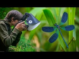 My First Demoiselle Damselflies!! - Macro Photography