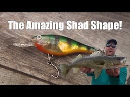 The Hidden Secret to Catching Monster Fish with Shad Lures