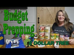 $25 Budget Prepper Supply Haul from Dollar Tree