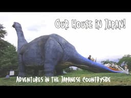 Akiya living: Summer in the Japanese countryside - Community, snakes, Kei cars, and so much fun.