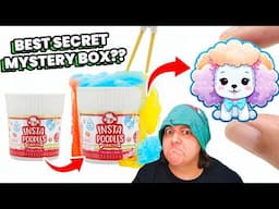 A DISAPPOINTING MESS 5-star Mystery Box of Tiny Pets Instapoodles