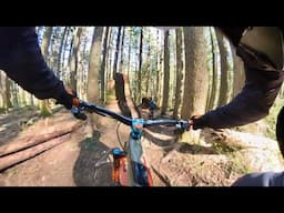 Mountain Biking at Tiger Mountain | Issaquah, Washington