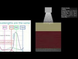 Understanding the Physics of Laser Therapy for Treating Humans and Animals