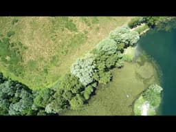 nature France, près de Fontainebleau. - озера франции аэросъемка. photographie aérienne avec drone