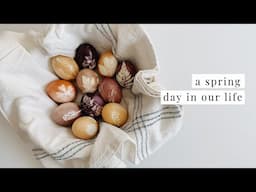 DIY Naturally Dyed Easter Eggs | a springy day in the life