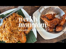 Weekly Monotony (Oct 7-13 2024 Vlog)