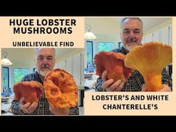 Unbelievable Lobster Mushroom Haul: The Most I’ve Ever Found! 🍄