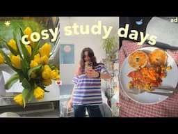 cosy study days ❤️‍🩹 recipes, writing, room updates and chats