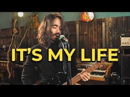 It's My Life (Bon Jovi Cover) - Martin Miller Session Band & Mateus Asato