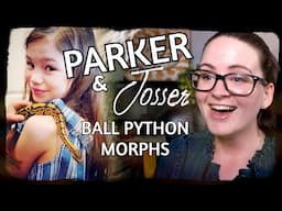 Parker & Josser : BALL PYTHON MORPHS