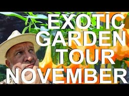 Tropical Gardens UK:  November Exotic Garden Tour