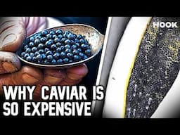 How Caviar Went from Poor Man's Food to $37,000 a Bite