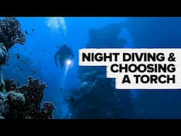 Night Diving & How To Choose A Torch