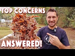 Fall Leaves For Compost & Mulch! Top Benefits & Concerns ANSWERED!