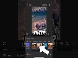 How to add filter to entire video #capcuttutorial #editingtutorial #capcut #travelvideo #tutorial