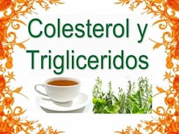 5  Remedios Caseros para el Colesterol y los Triglicéridos