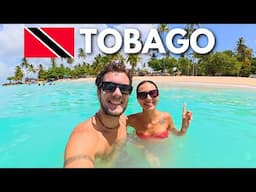 TOBAGO | THE CARIBBEAN GEM! 🇹🇹