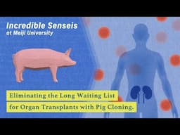 [日本語字幕]Eliminating the Long Waiting List for Organ Transplants with Pig Cloning by Hiroshi Nagashima