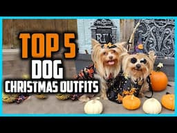 ✅Top 5 Best Dog Christmas Outfits in 2025