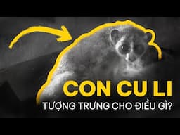 HÀ NỘI và những THẾ HỆ LỆCH NHỊP — CU LI KHÔNG BAO GIỜ KHÓC